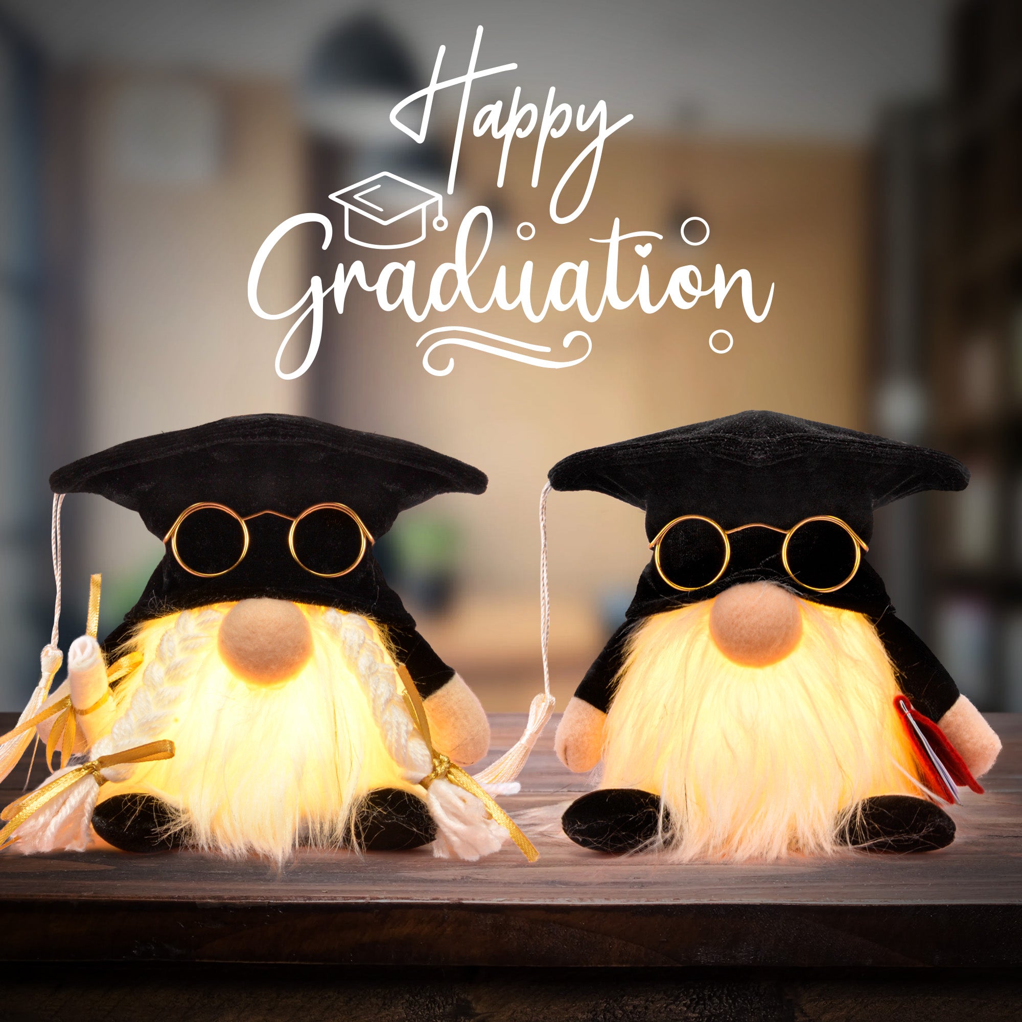Lighted Graduation Gnome