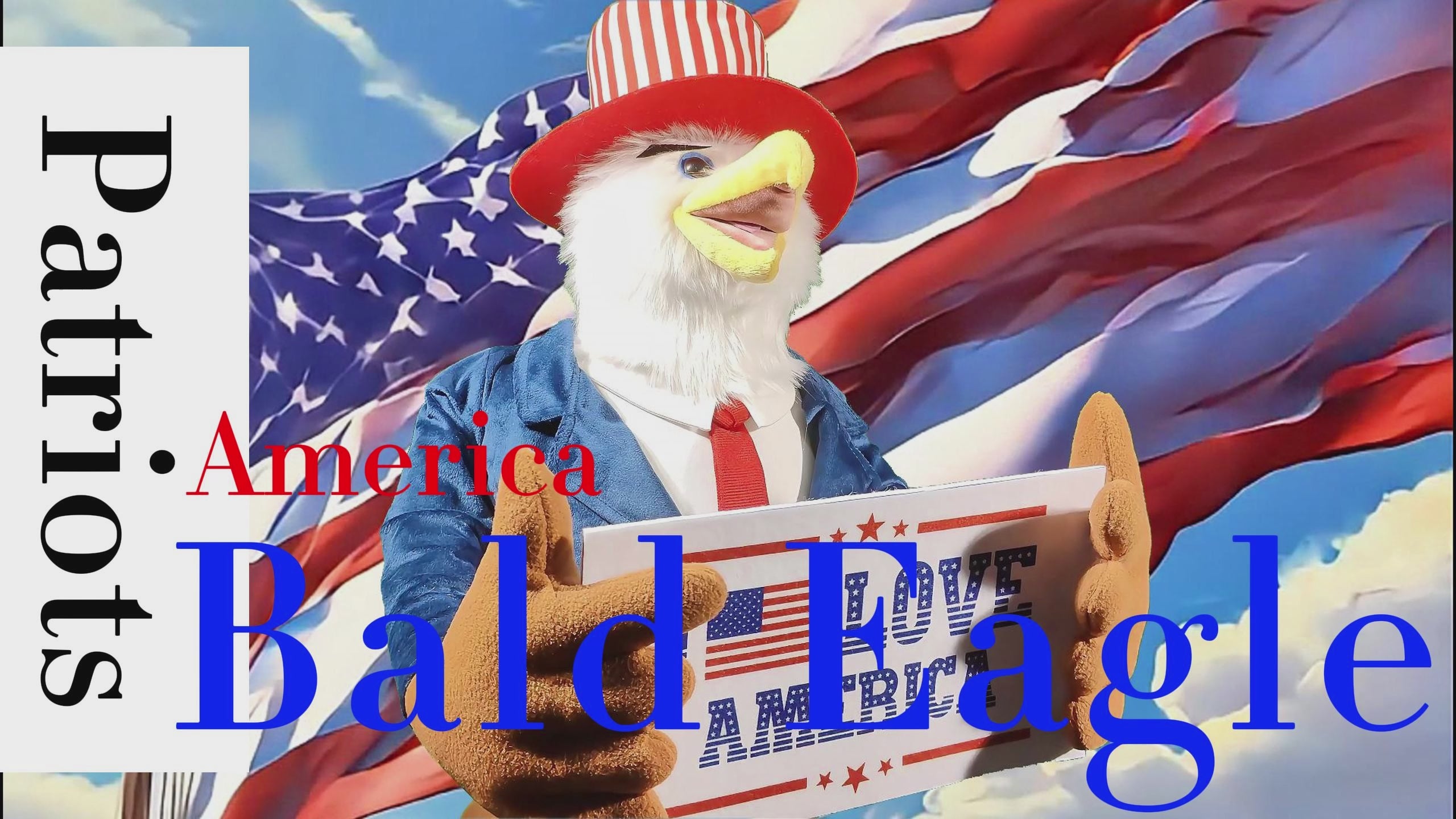 Large Bald Eagle Decorations